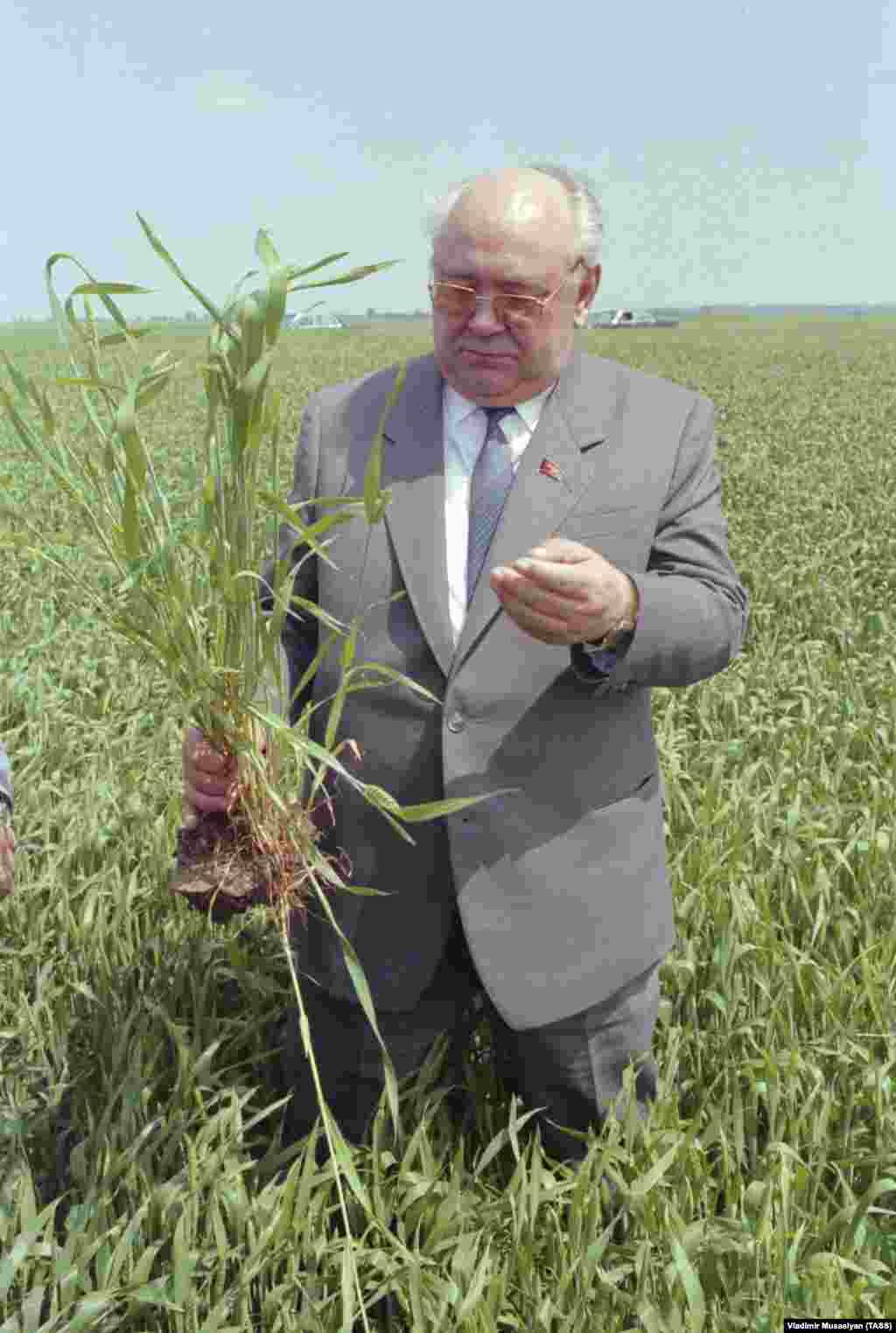 An official at a farm in Croatia in 1988. By the 1980s, Yugoslavia&rsquo;s economic problems were compounded by huge debts from the massive foreign loans taken out during the Tito era. &nbsp; &nbsp; &nbsp;