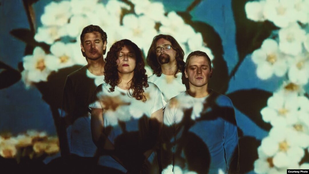Modern Studies. Фрагмент иллюстрации с официального сайта группы https://modernstudiestheband.com/
