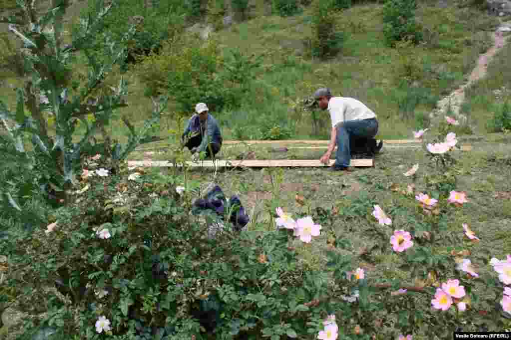 Muncitorii au sarcina să cruţe spaţiul natural