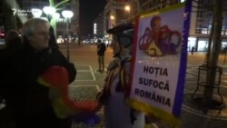 Diaspora solidară cu protestatarii anti-guvernamentali din România: Frankfurt pe Main