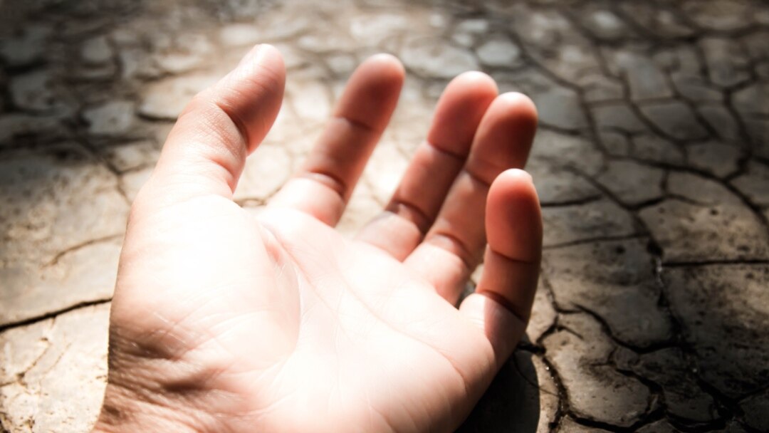 Maqsad seksual inda knovit