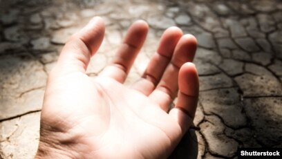 Jinsiy olatdagi mushukning yaqindan surati Katta Eshakli Fohishalar Seks Videolari