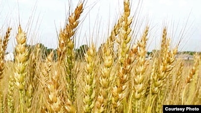 Нәзік және әдемі секс порно онлайн Енакиево порно, Украина