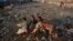 Pakistan -- Children play in a slum area of Karachi, 17Nov2008