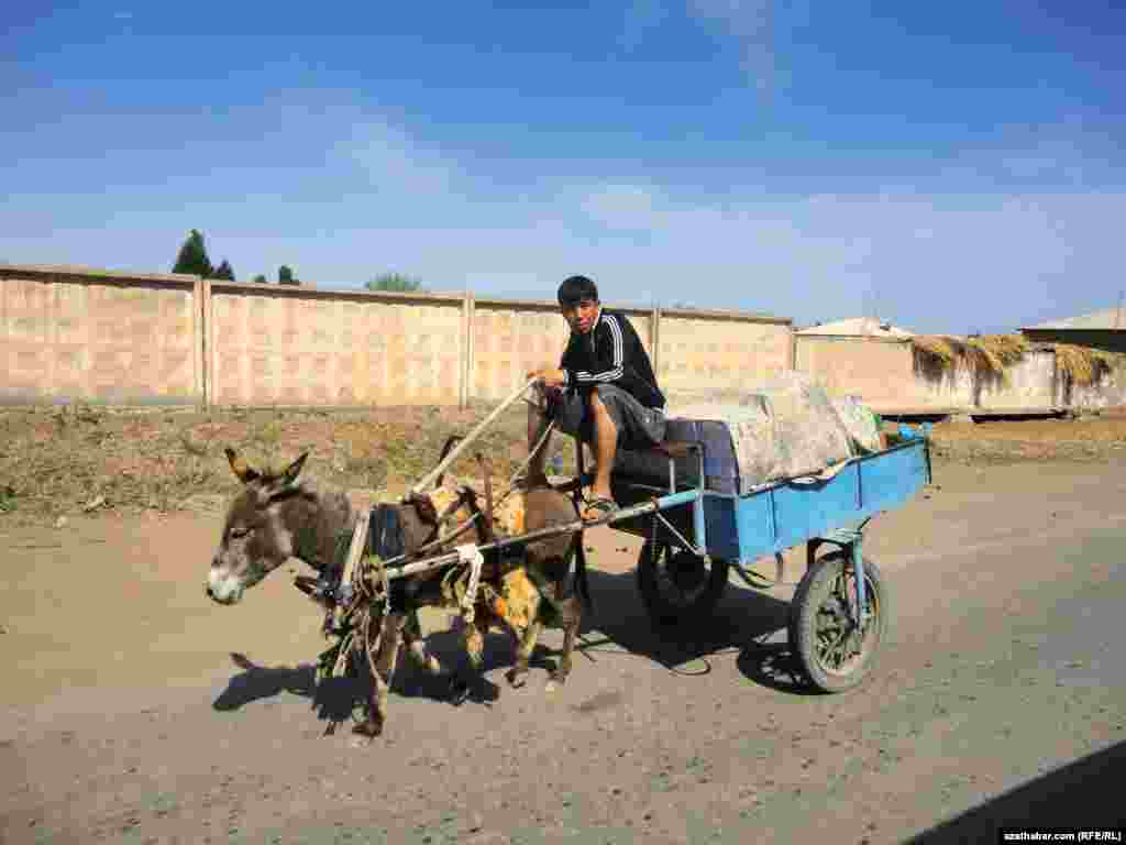 Hauling goods in Turkmenistan