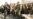 Fighting In Nagorno-Karabakh: War Or War Dance?