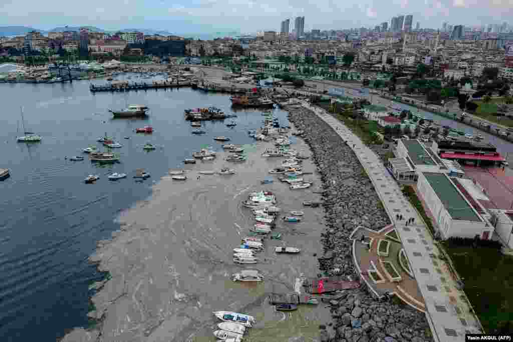 Президент Турции Реджеп Тайип Эрдоган считает, что причиной проблемы в Мраморном море являются неочищенные сточные воды&nbsp;из крупных городов, включая Стамбул, где проживает около 16 миллионов человек