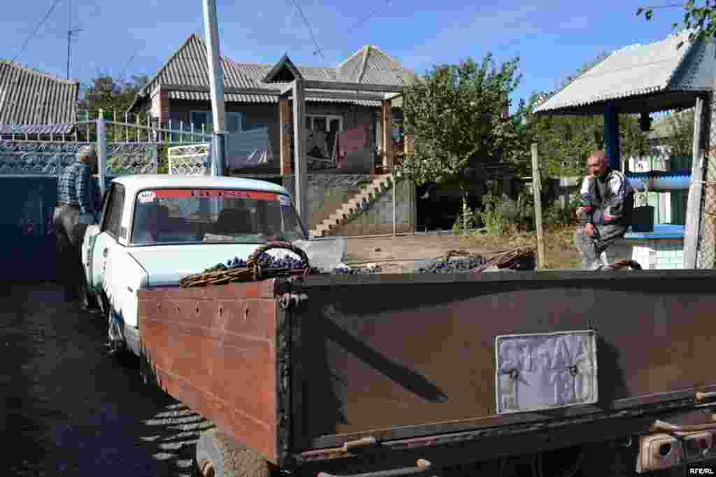 Prețuri mici, probleme mari #26