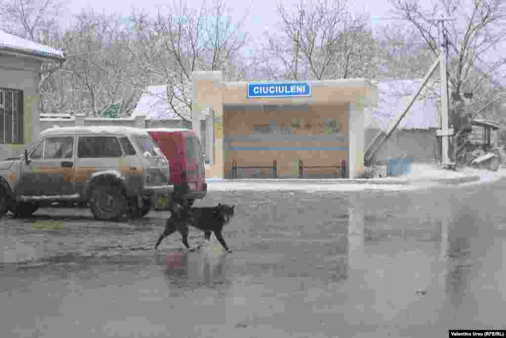 Moldova - people and places in Ciuciuleni, H&#226;ncești