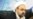Iranian Judiciary Official Calls For 'Maximium Penalty' For Protest Leaders