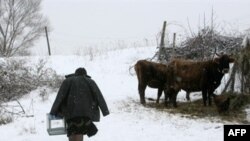 К пожилым избирателям в грузинских селах урна для голосования приходит сама