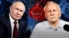 Image result for Пуцін