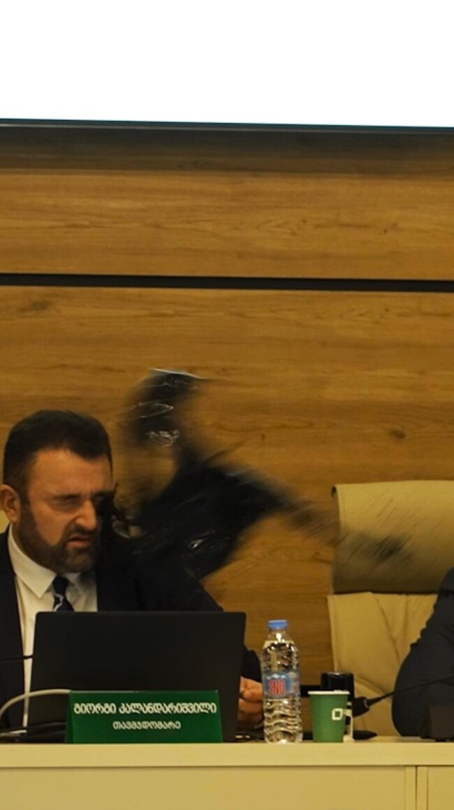 Georgian Opposition Politician Throws Black Liquid On Electoral Chief To Protest Vote