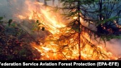 Лесной пожар в Сибири, 1 августа 2019 года