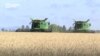 Власти Казахстана уверяют, что дефицита пшеницы в стране не будет