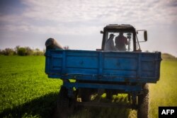 Ukrán gazdák traktorral visznek egy fel nem robbant rakétát a zaporizzsjai területen lévő Hrihorivka falu közelében 2022. május 5-én
