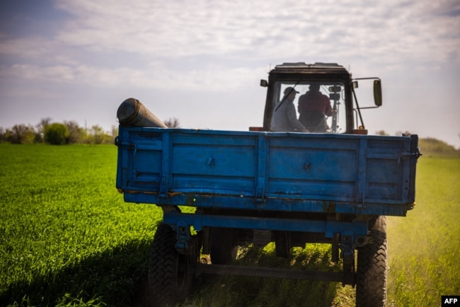 Ukrán gazdák traktorral visznek egy fel nem robbant rakétát a zaporizzsjai területen lévő Hrihorivka falu közelében 2022. május 5-én