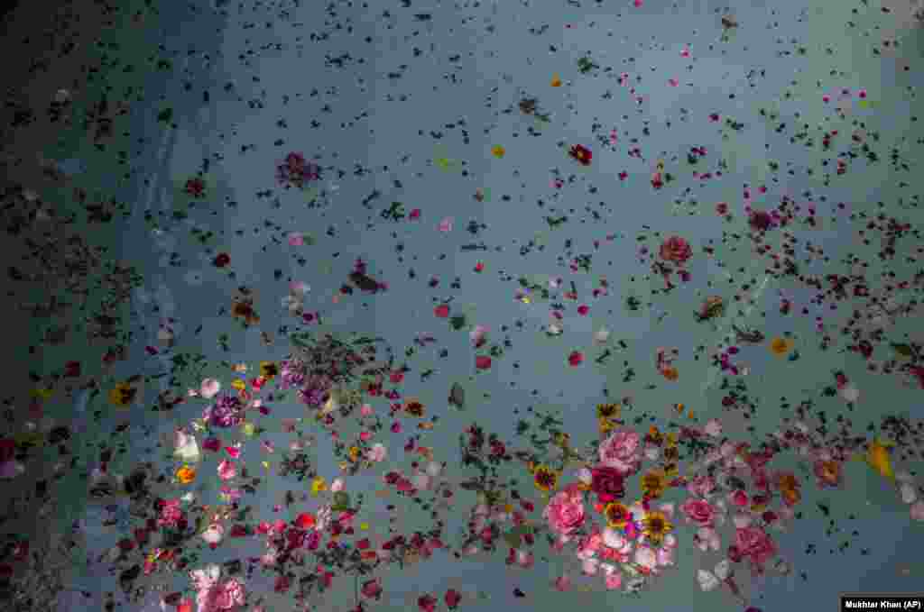Rose petals float as devotees pour milk into a sacred spring during the annual festival at the Kheer Bhawani Hindu temple in Tulla Mulla, just outside of Srinagar in Indian-controlled Kashmir on June 8, 2022.