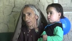 په افغانستان کې د ګوزڼ په اړه اندېښنه