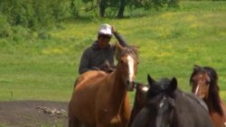 Байкөлдү байырлагандар