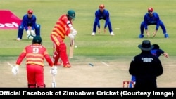 عکس از جریان سلسله مسابقات کریکت میان تیم های افغانستان و زیمبابوی
