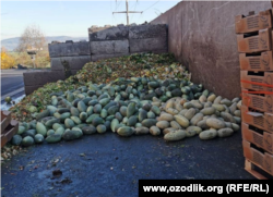 Предпринимательница из Швейцарии заказала гранаты и дыни из Узбекистана, но получила более 10 тонн сгнивших фруктов.