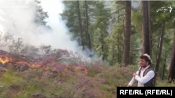 آرشیف- آتش‌سوزی در جنگلات نورستان
