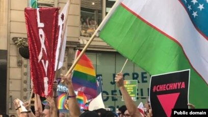 Eng yaxshi uy assimilyatsiya mashinalari