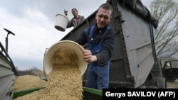 Farmers load oats into the seeding machine to sow in a field east of Kyiv.