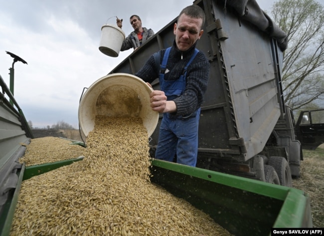 The problem is only expected to get worse as Ukraine and the countries transporting its crops harvest this summer's crops.