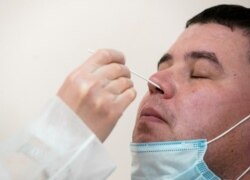 Медқызметкер Covid тестіне сынама алып жатыр. Көрнекі сурет.