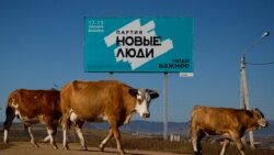 Время Свободы: Попки в недоумении. "Новые люди" хотят смены "оскорбительных" топонимов 