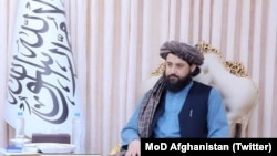 ملا محمد یعقوب مجاهد وزیر دفاع طالبان(آرشیف)