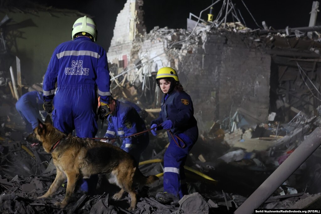 До пошукової операції долучили собак