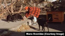 ნათია ჩიქოვანი ჩვეულ ამპლუაში - ცხოველებზე ზრუნვისას