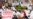 Police Search House Of Russian Mayor After Garbage Dump Protests