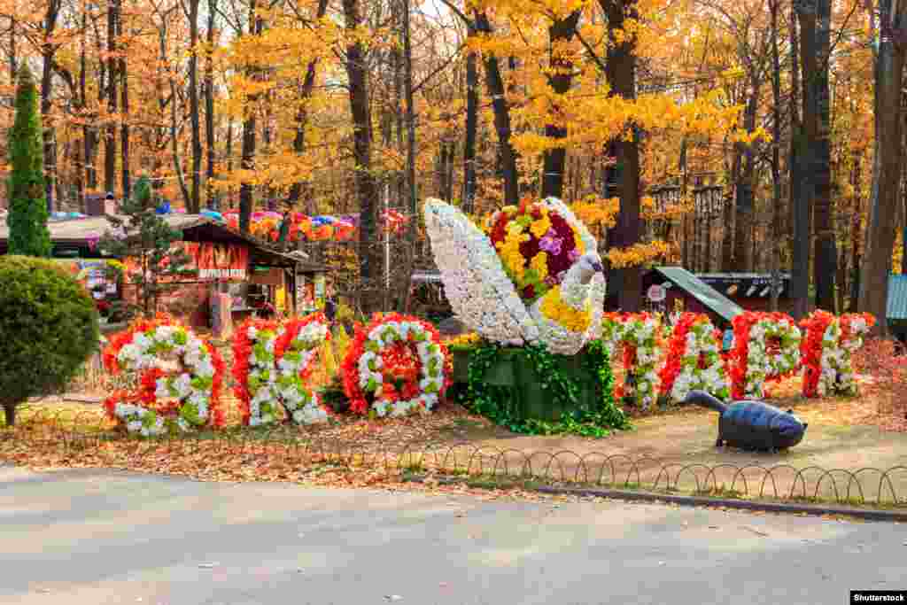 Це фото з екопарку «Фельдман» було зроблене у жовтні 2021 року.Екопарк «Фельдман» є одним із найпопулярніших місць у Харківській області завдяки тому, що там живуть сотні видів тварин. Парк став «полем битви» на початку 2022-го, коли російські війська наблизилися до Харкова та зрештою окупували цю територію