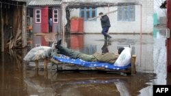 У затопленым двары ў Хваенску, Жыткавіцкі раён. Фота Віктара Драчова, AFP