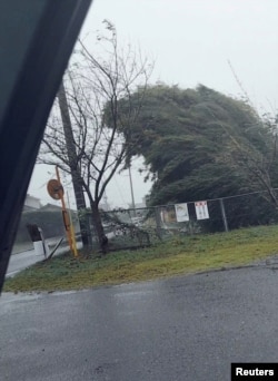 Drvo se savija pod naletom vetra dok tajfun Nanmadol pogađa Tarumizu, prefektura Kagošima, Japan, 18. septembar 2022.