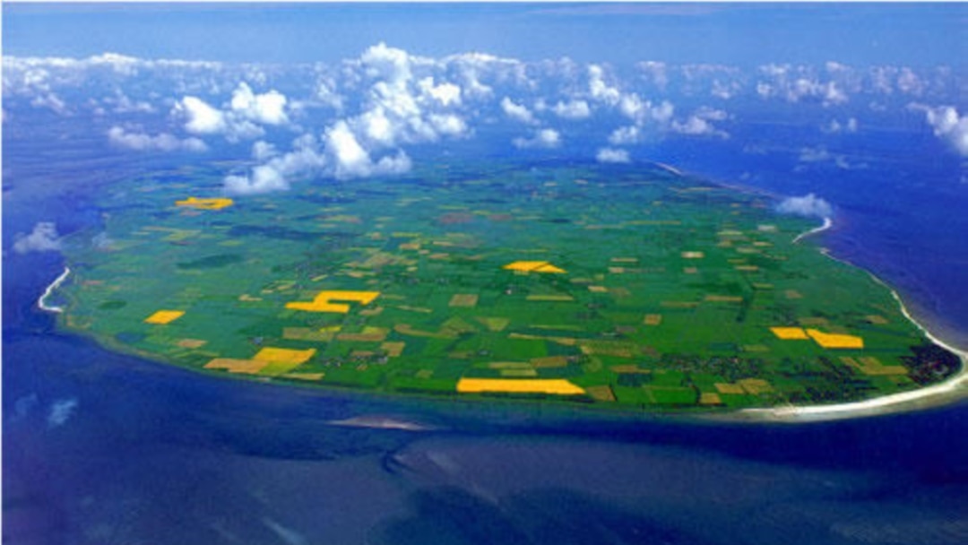 подсмотрел пизду на пляже 