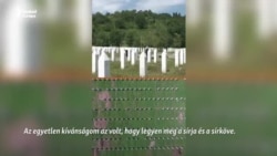 Srebrenica néma tragédiája: harminc éve történt a népirtás 