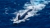 A US nuclear submarine conducts military exercises off the coast of Colombia in 2022. US President Donald Trump has ordered nuclear subs "closer to Russia" ahead of a deadline he gave Moscow to make a peace deal with Ukraine.