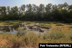 Старое русло реки Урал. Село Кирсаново, Западно-Казахстанская область, 26 августа 2021 года