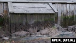 Последствия потопа в доме Нины Александровны в Гидролизном
