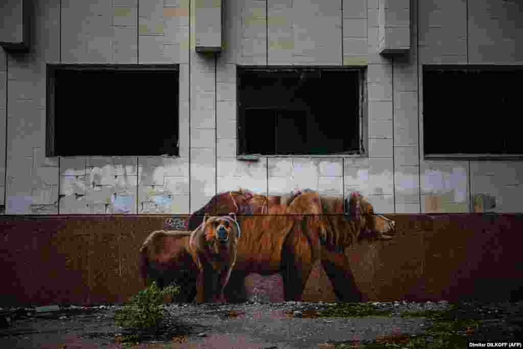 Graffiti&nbsp;Pripjaty szellemvárosában