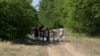 Serbia -- Refugees and migrants from the Middle East in the forest near Hungarian border, Jun 2, 2022