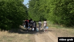 Refugees and migrants from the Middle East in the forest in Serbia near the Hungarian border in June.