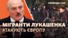 Олександр Лукашенко і незаконні мігранти на кордоні ЄС (колаж)