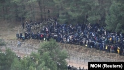 Скупчення мігрантів на кордонах ЄС Роман Безсмертний називає «спецоперацією Кремля»