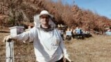 Kosovo: Sebahate Rama, a beekeeper in Kecekolla 